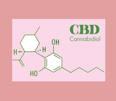 CBD prevents migration of Endometrium cells Endometriosis